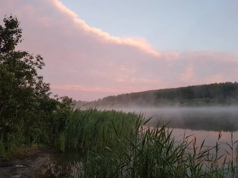 Карась