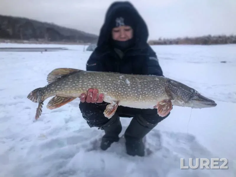 Щука — Республика Татарстан, 19 янв. 2019 г.