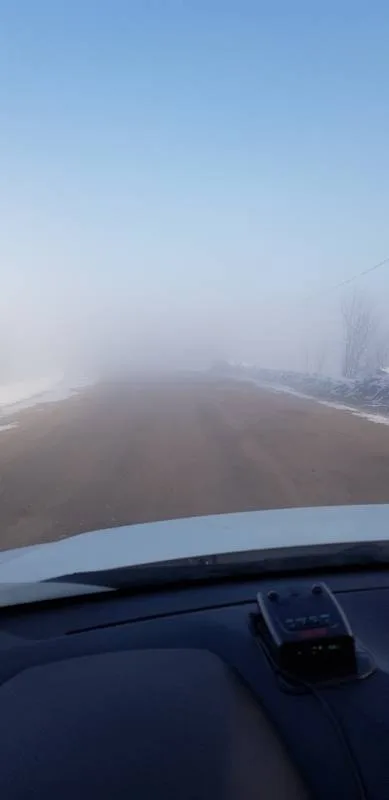 Лещ, Плотва