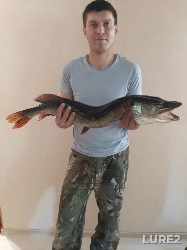 Щука — Иван, 31 авг. 2019 г.