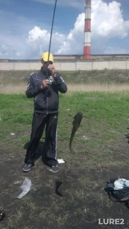 Сом — Кенон, 09 июн. 2019 г.