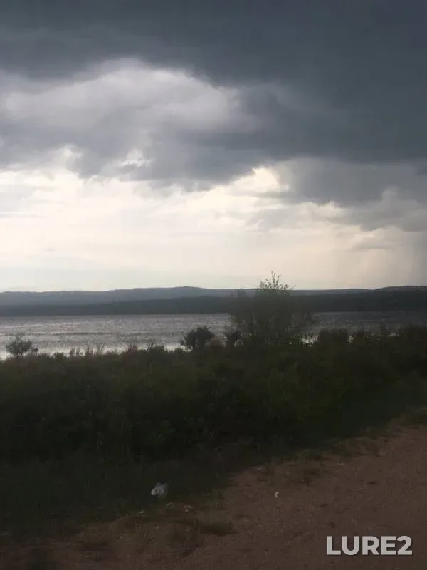 Окунь, Плотва — Холой, 12 июн. 2019 г.