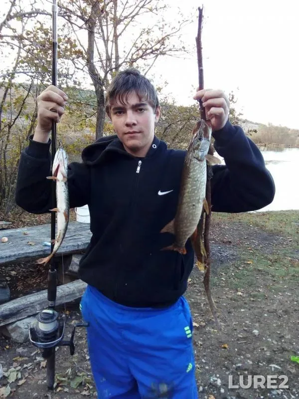 Щука — Краснодарский край, 26 окт. 2017 г.