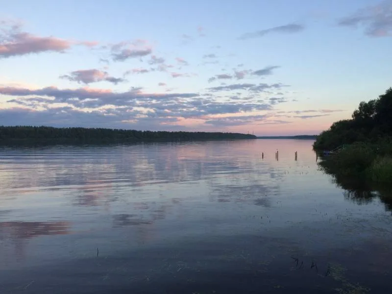 Лещ, Окунь