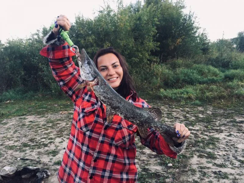 Щука