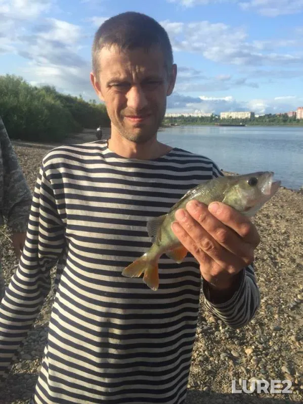 Лещ, Окунь — Томь, 12 авг. 2019 г.