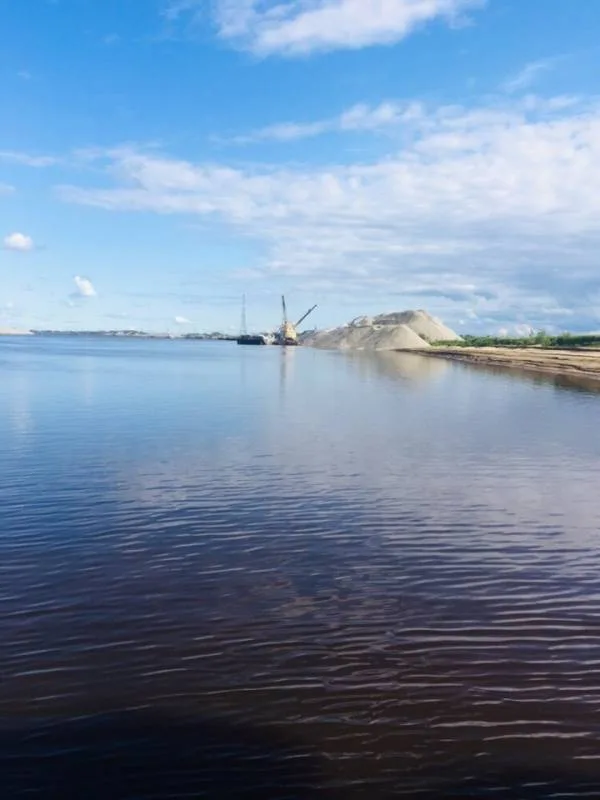 Окунь, Щука