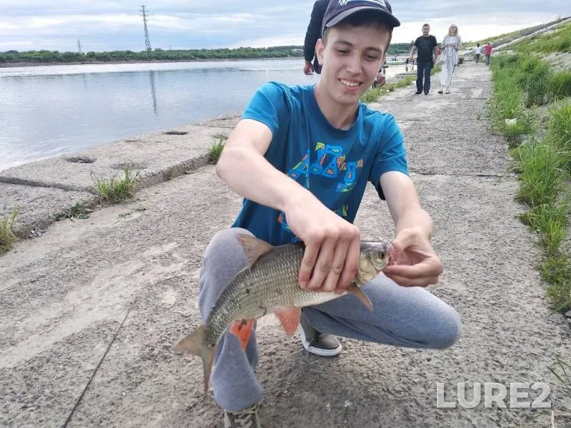 Язь — Томь, 25 июн. 2019 г.