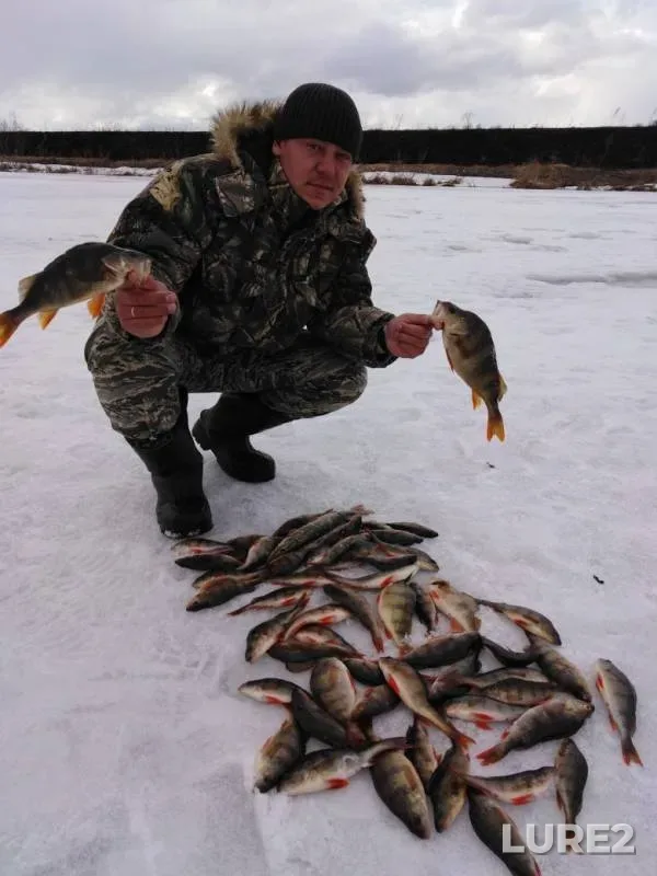 Окунь — Воронопашенское, 14 апр. 2019 г.