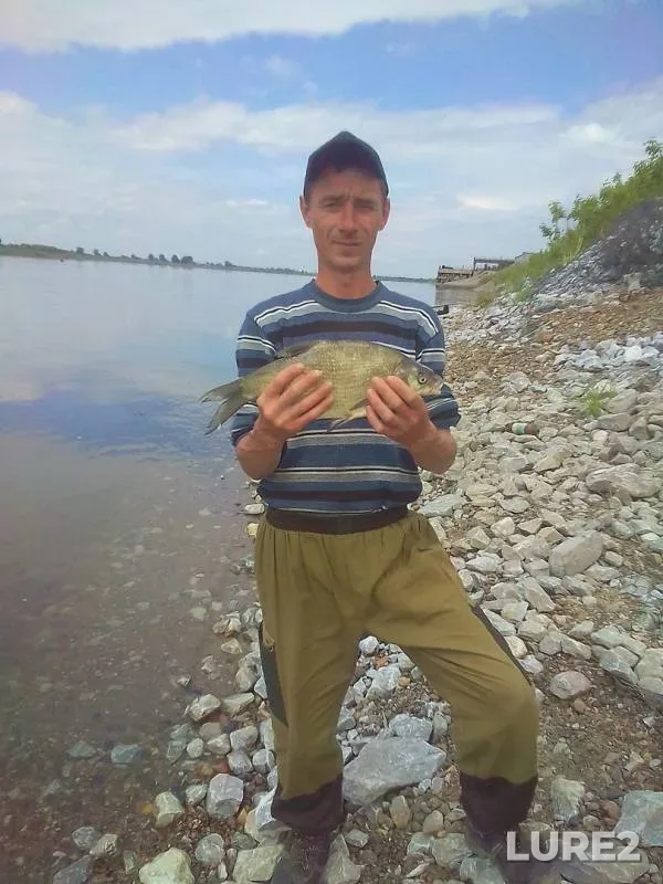 Лещ, Язь — Томь, 02 февр. 2019 г.
