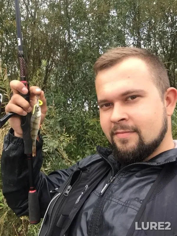 Окунь, Щука