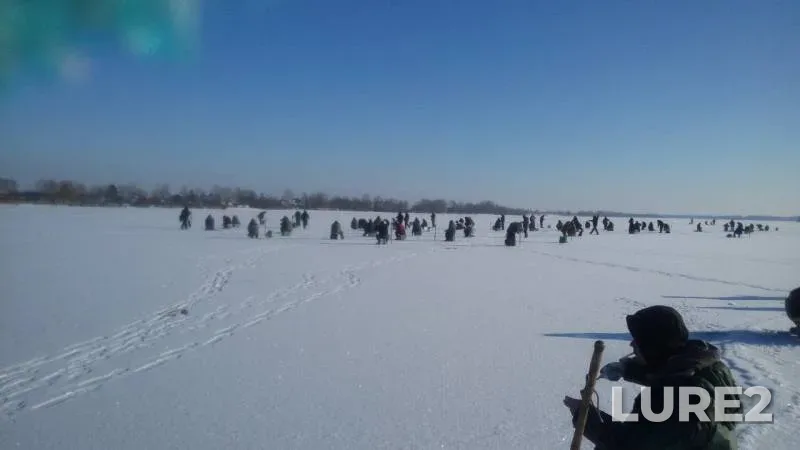 Густера — Днепр, 24 янв. 2016 г.