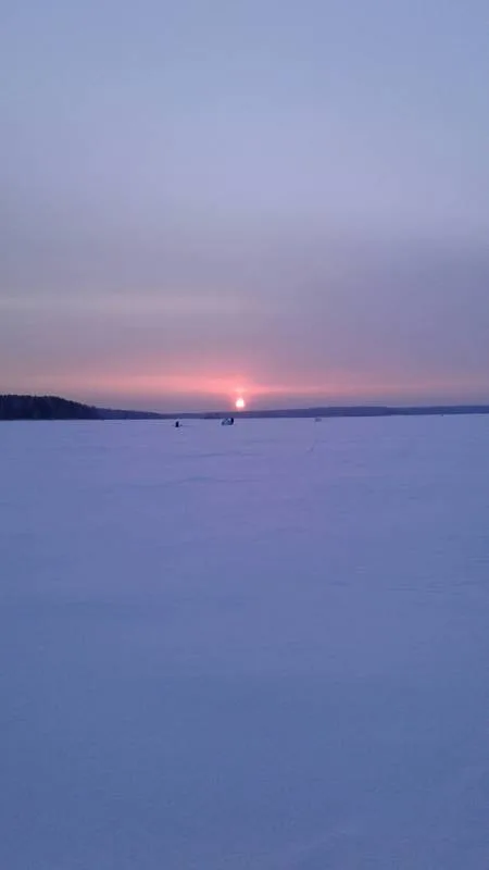 Окунь