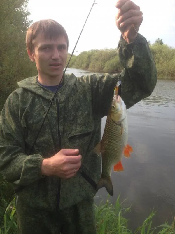 Голавль
