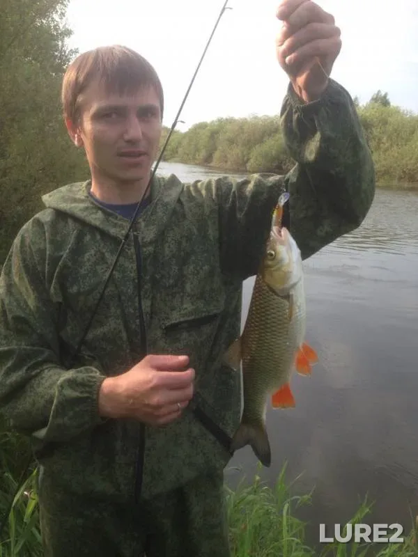 Голавль — Десна, 14 июн. 2019 г.