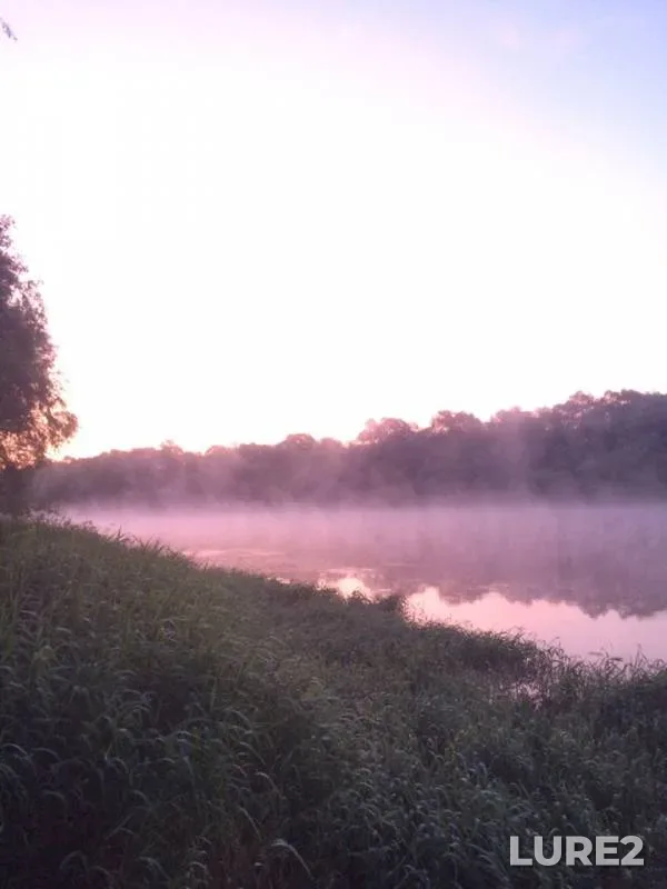 Окунь, Густера — Десна, 05 июн. 2019 г.