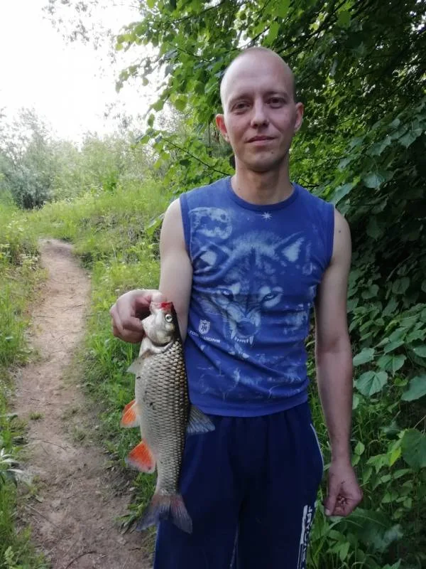 Голавль