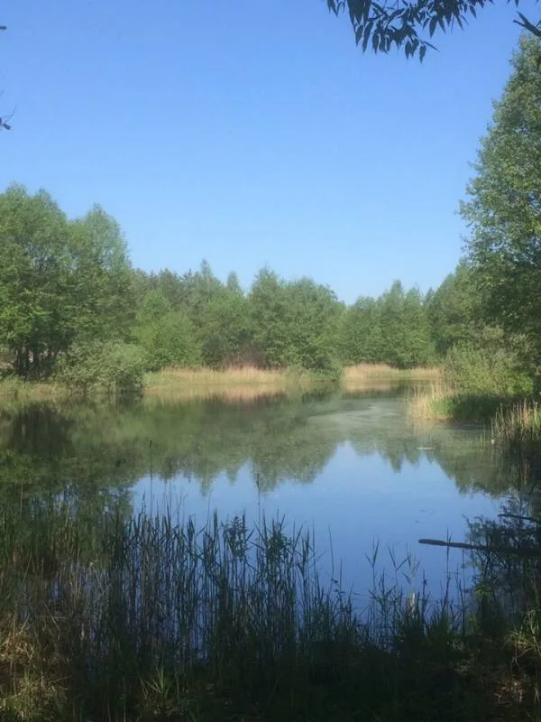 Карась
