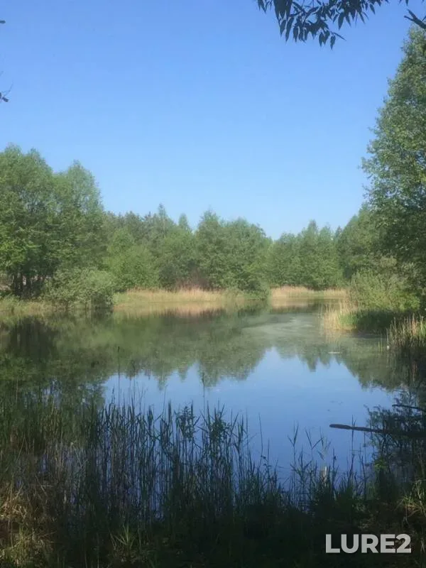 Карась — Скубилка, 18 мая 2019 г.