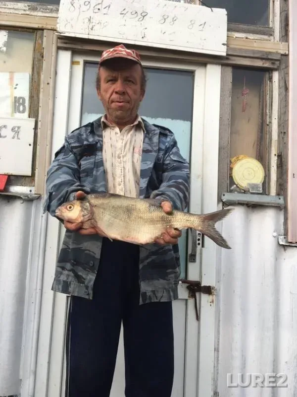 Лещ, Карп — Ставропольский край, 19 окт. 2019 г.