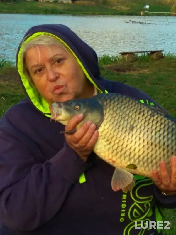 Карп, Карась — Лёвкин, 28 сент. 2019 г.
