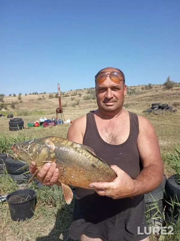 Карп — Запятая, 04 сент. 2019 г.