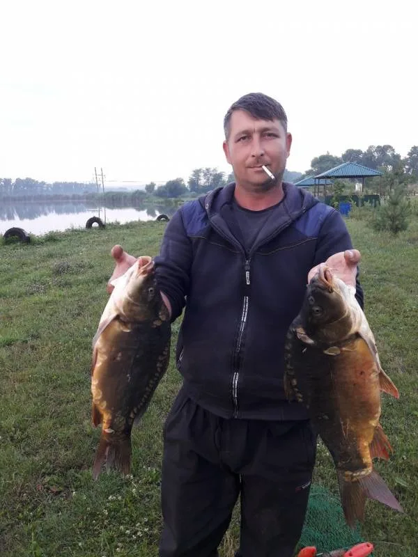 Карп