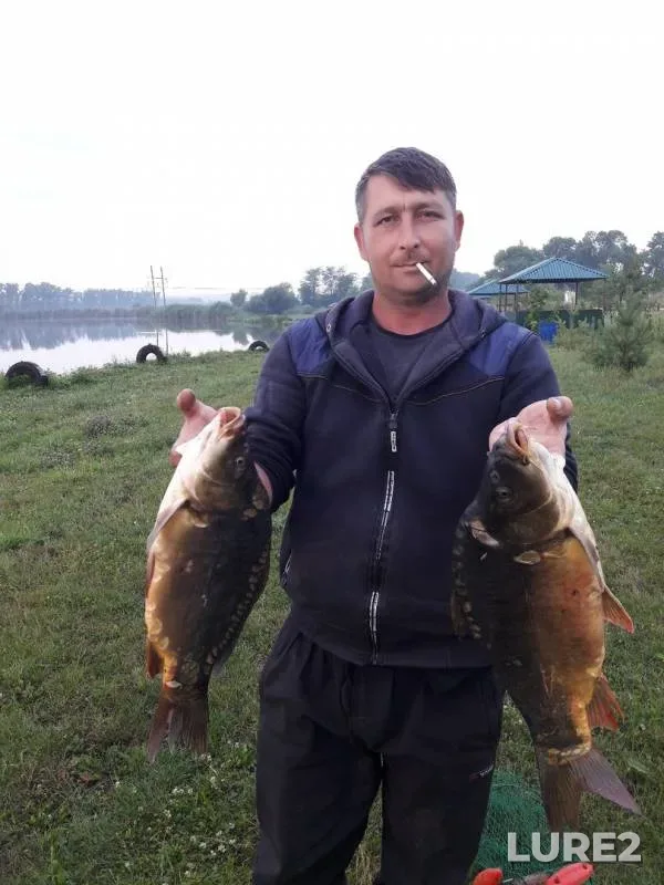 Карп — Черников, 19 июл. 2019 г.