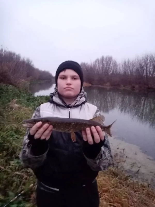 Щука