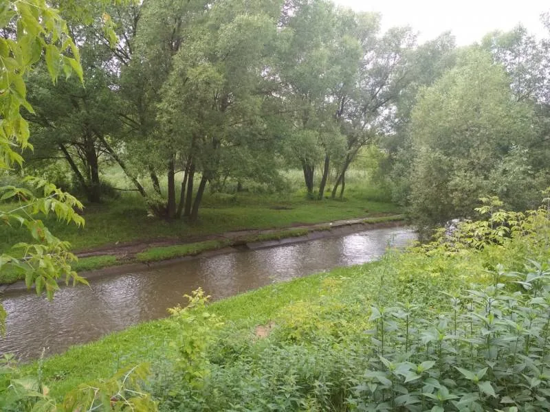 Окунь