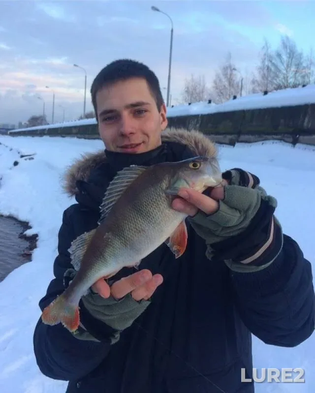 Окунь