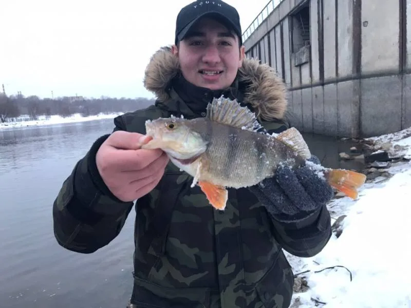 Окунь