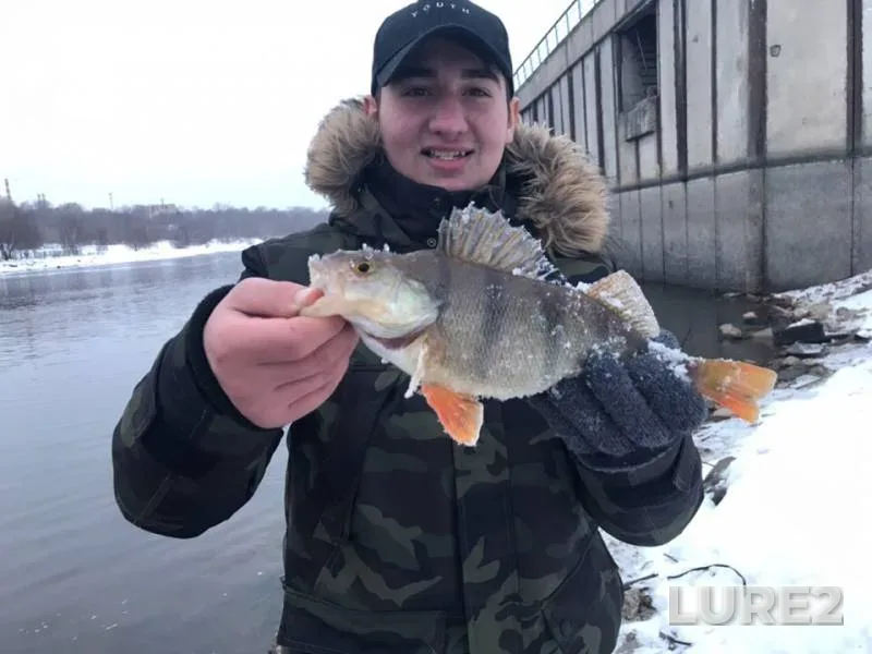 Окунь