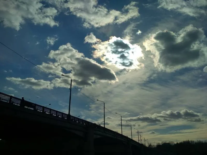Окунь