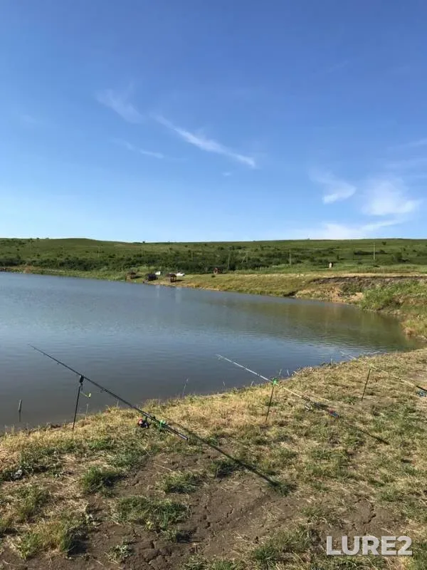 Карп, Карась — Ставропольский край, 14 июн. 2018 г.