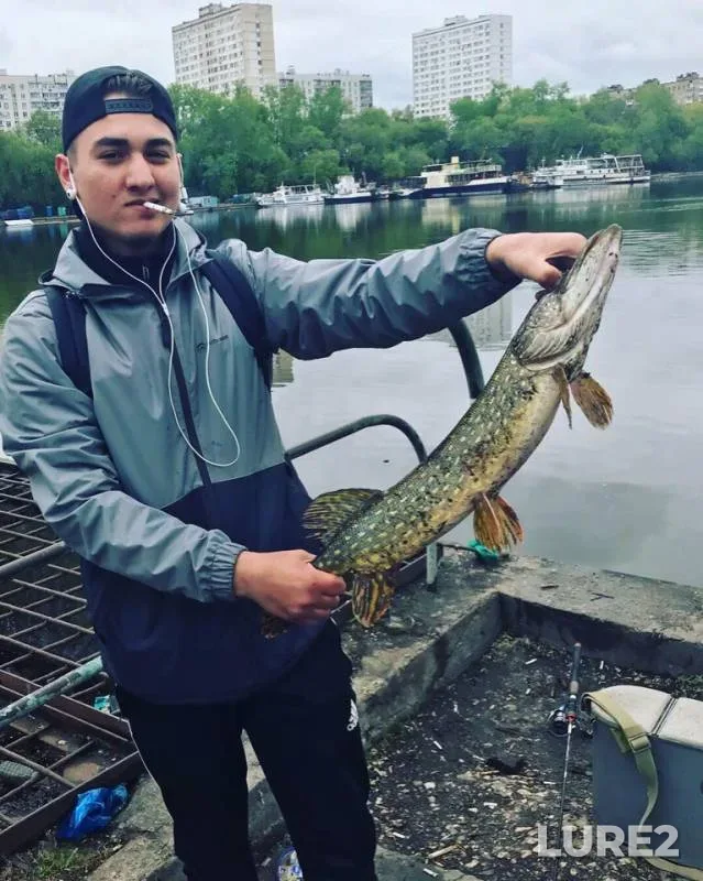 Щука — Южный переточный коллектор, 05 мая 2019 г.