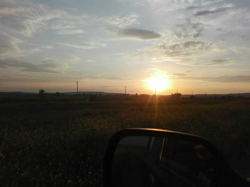 Лещ, Карась