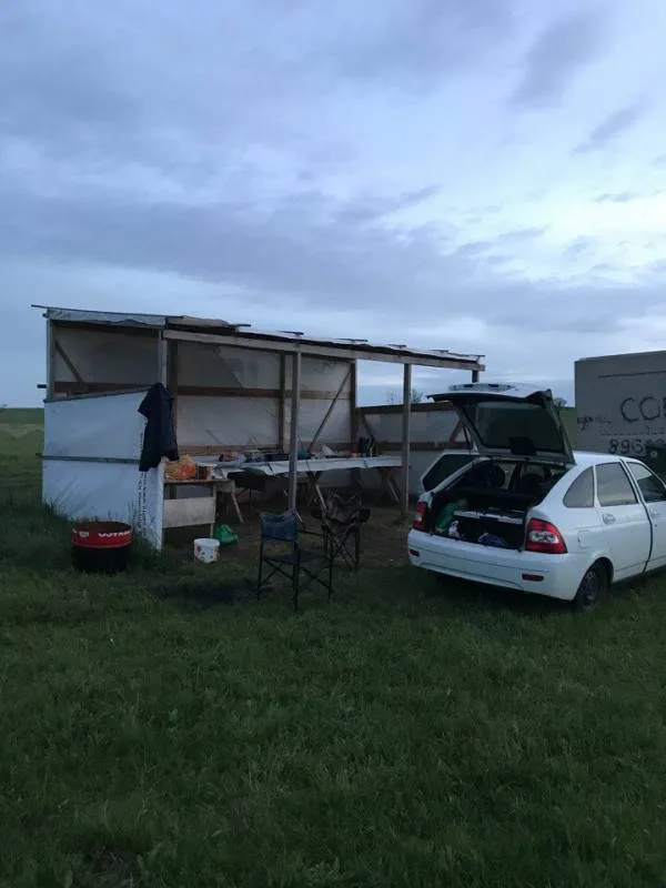 Карп, Карась