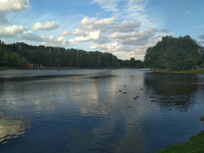 Окунь
