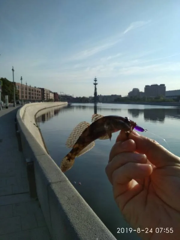 Окунь