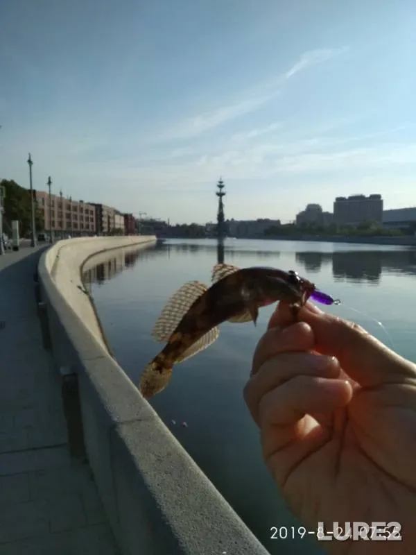 Окунь — Москва, 26 авг. 2019 г.