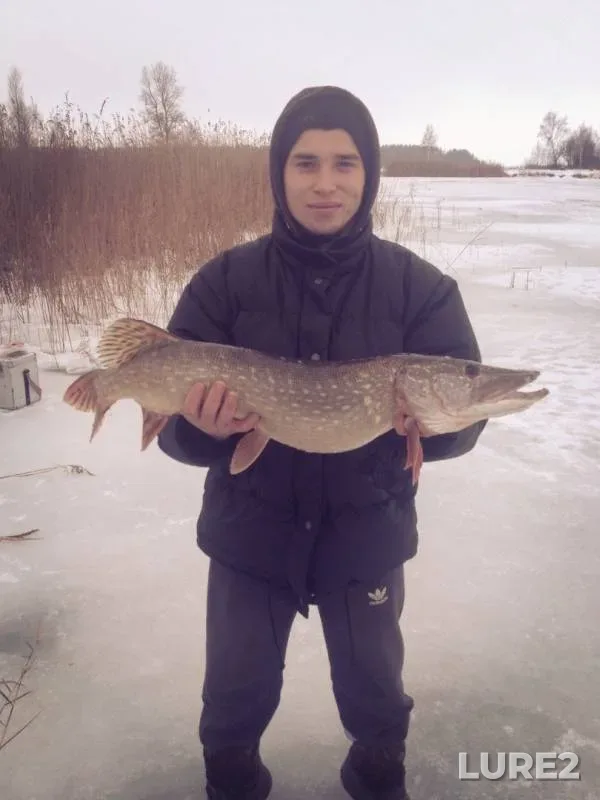 Щука — Київська область, 29 дек. 2018 г.