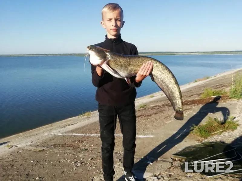 Сом — Локтыши, 24 июн. 2019 г.