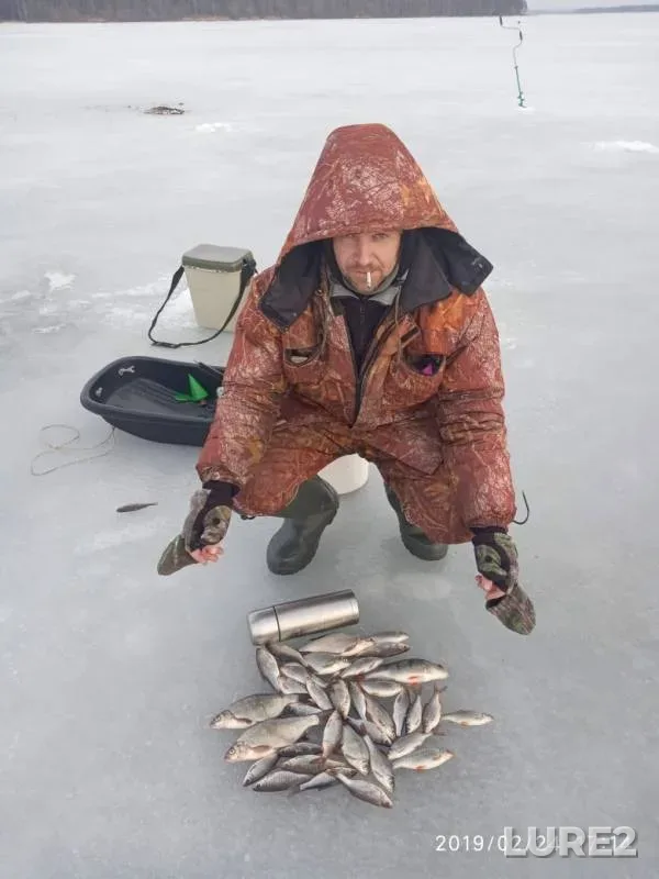 Лещ, Окунь — Касутка, 24 февр. 2019 г.