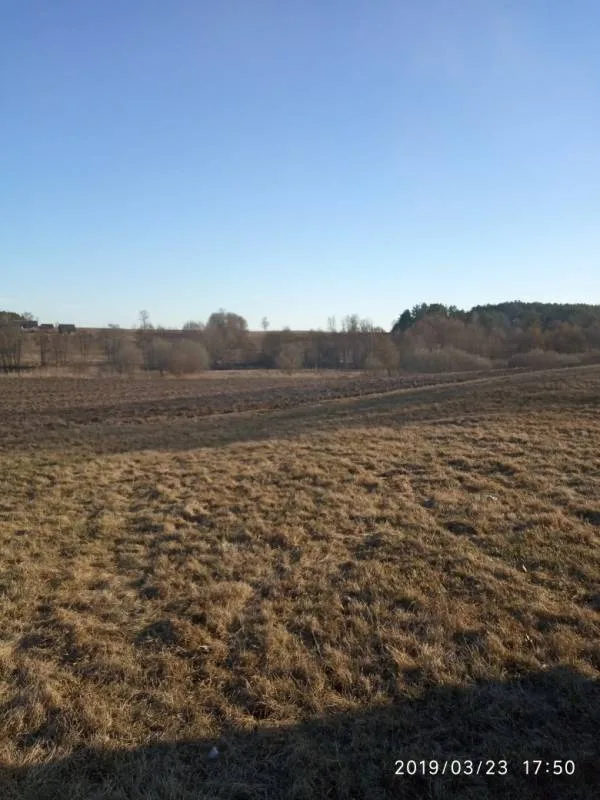 Уклейка