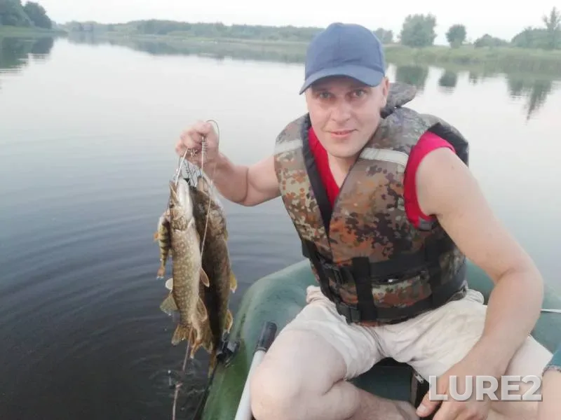 Окунь, Щука — Дикий, 11 июн. 2019 г.