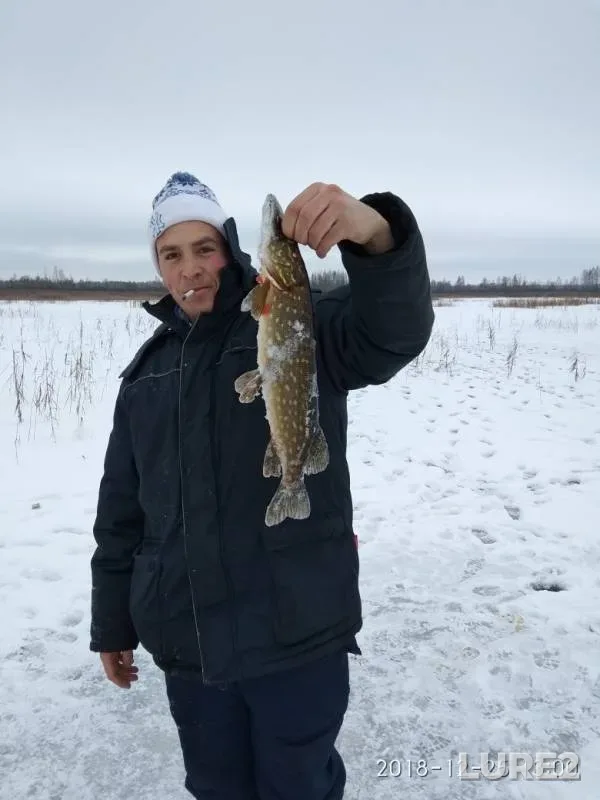 Щука — Западная Березина, 22 янв. 2019 г.