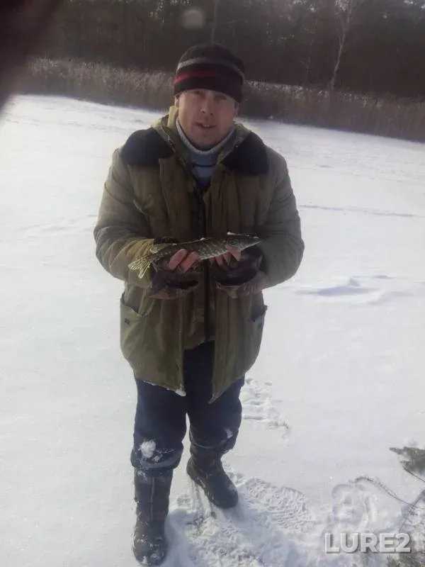 Щука — Каташи, 27 янв. 2019 г.
