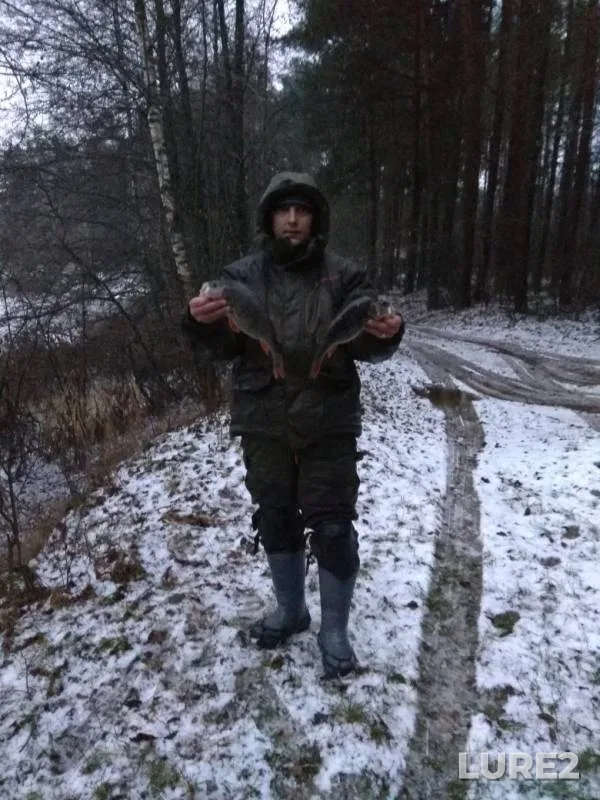 Окунь
