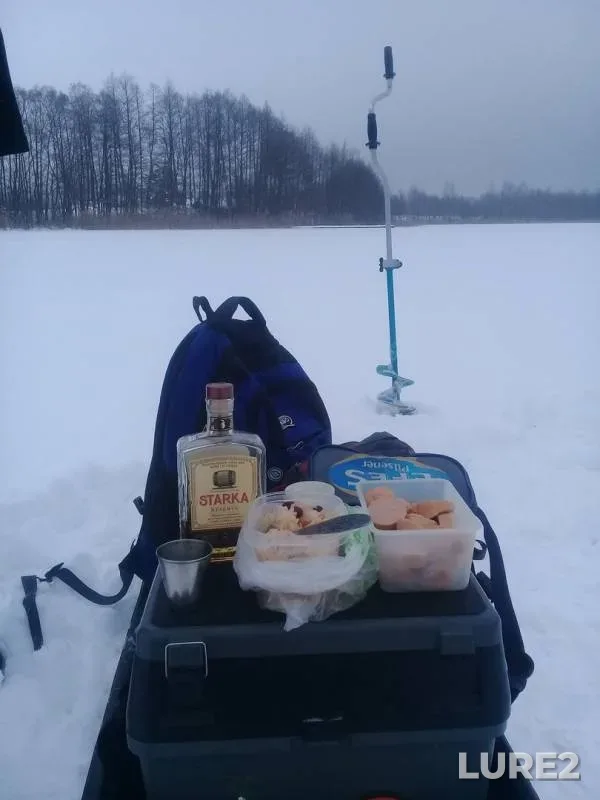 Щука — Пышно, 24 янв. 2019 г.